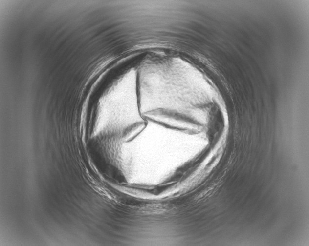 X0000052931137200508050822