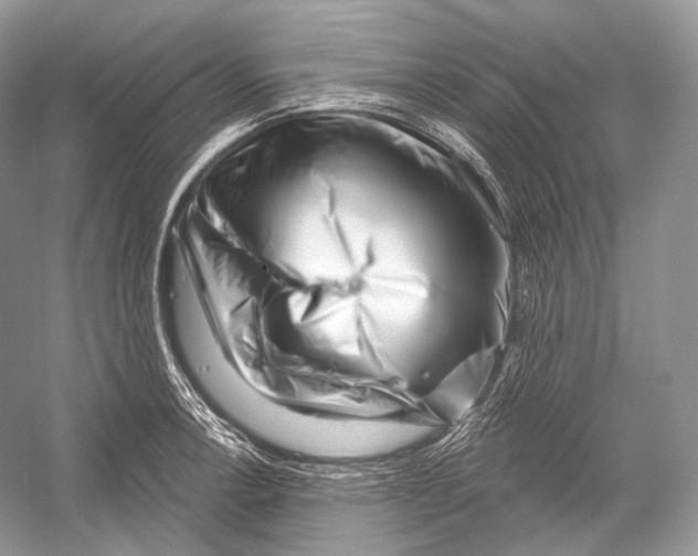 X0000052931138200508050822