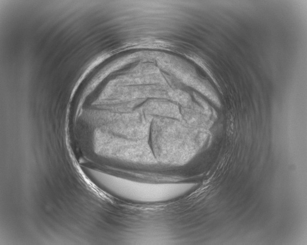 X0000052931139200508050823