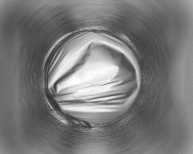 X0000052931140200508050823