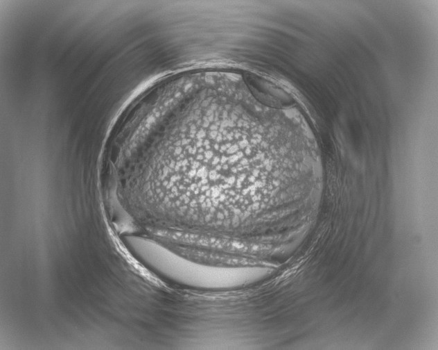 X0000052931142200508050823