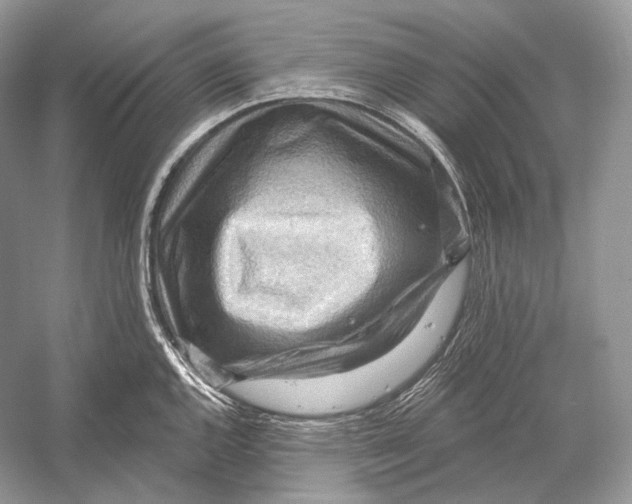 X0000052931144200508050823