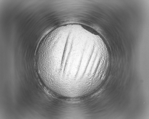 X0000052931145200508050823