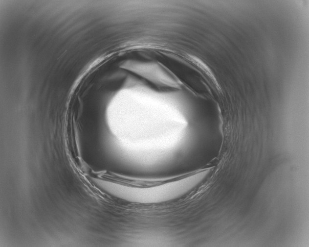 X0000052931146200508050823