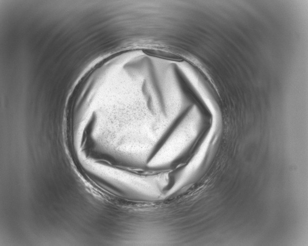 X0000052931147200508050823