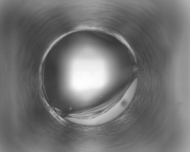 X0000052931148200508050823