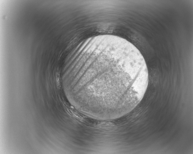X0000052931154200508050822