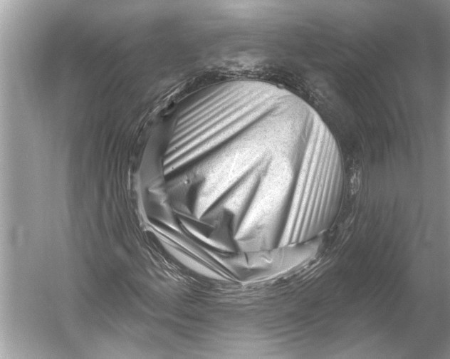 X0000052931156200508050822