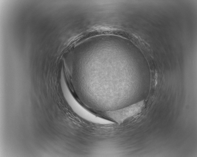 X0000052931157200508050822