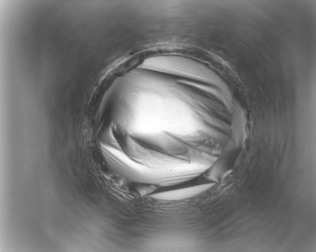 X0000052931160200508050822