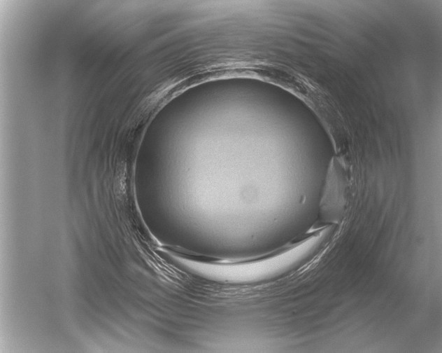 X0000052931161200508050822