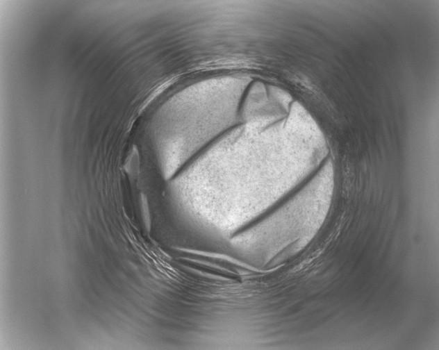 X0000052931162200508050822