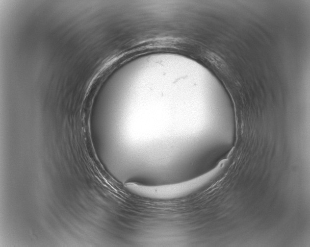 X0000052931164200508050822