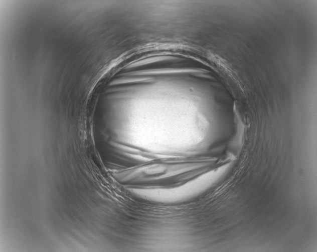 X0000052931165200508050822