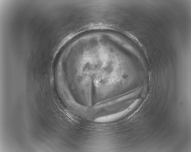 X0000052931167200508050822