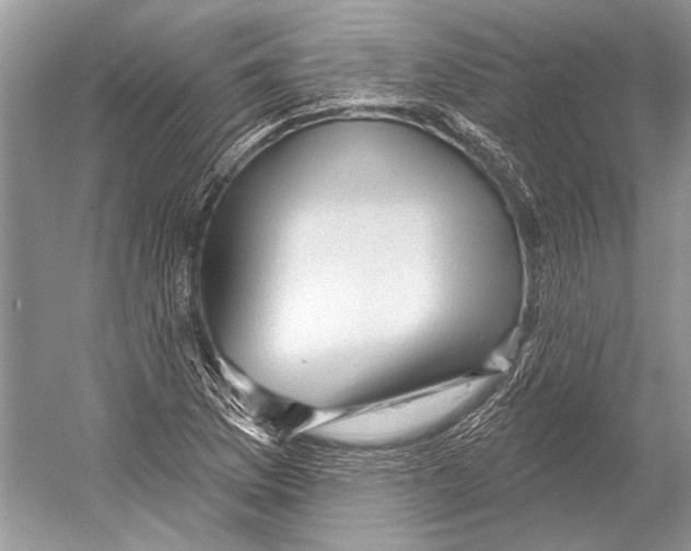 X0000052931169200508050822