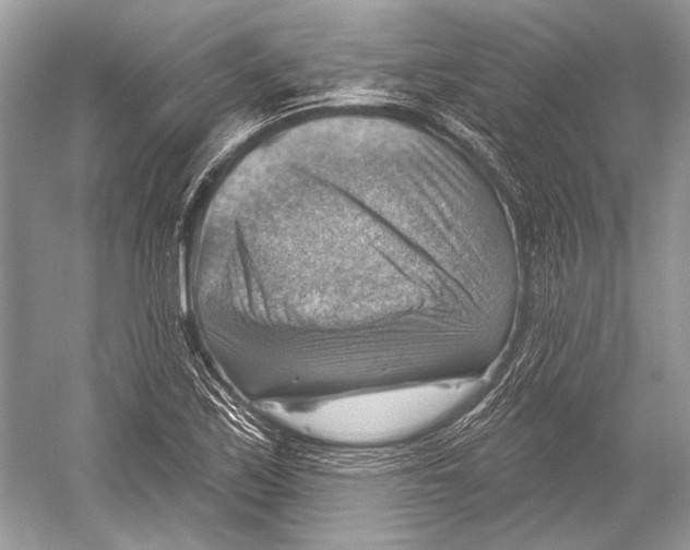 X0000052931171200508050822