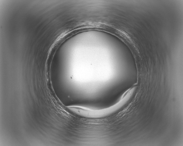 X0000052931172200508050822