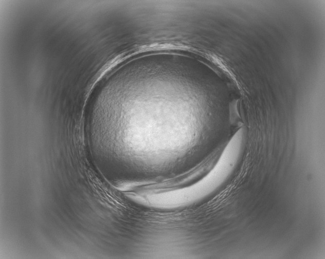 X0000052931173200508050822