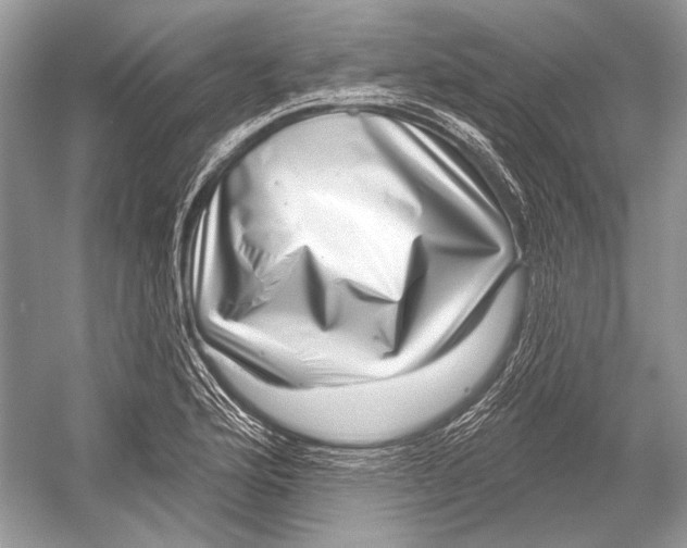 X0000052931176200508050822