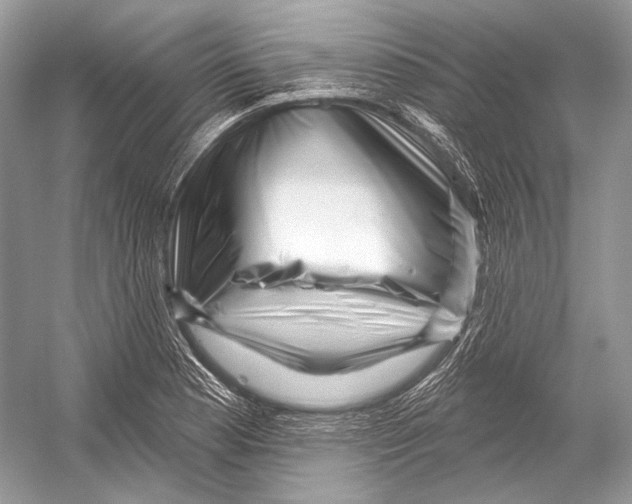 X0000052931177200508050821
