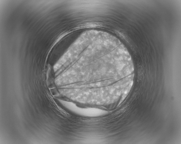 X0000052931178200508050821