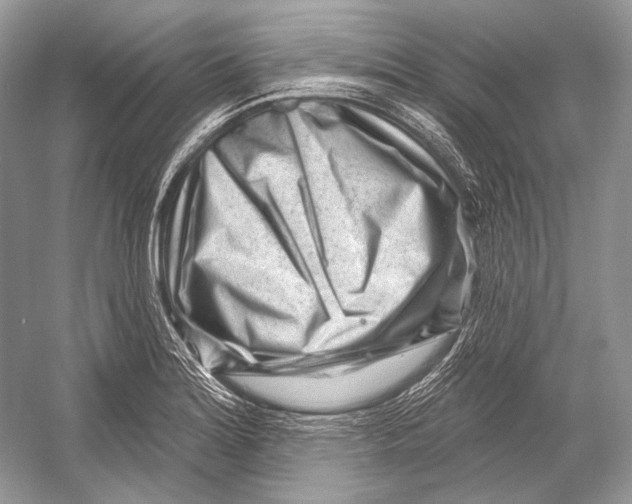 X0000052931180200508050821