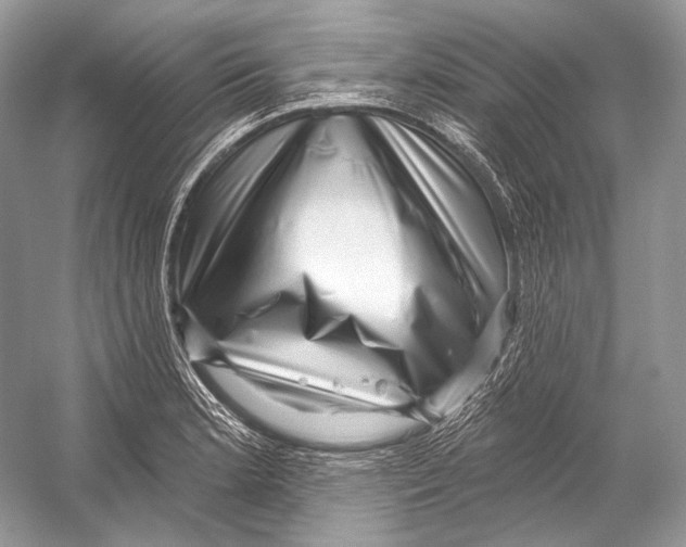 X0000052931181200508050821