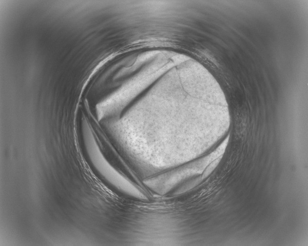 X0000052931182200508050821