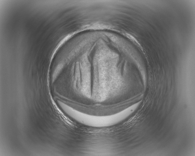 X0000052931183200508050821