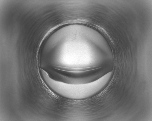 X0000052931184200508050821