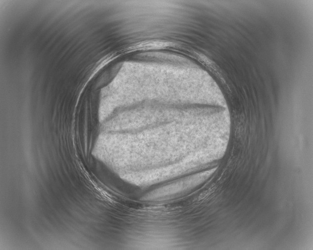X0000052931186200508050821