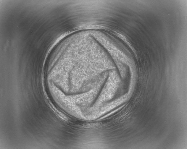 X0000052931187200508050821