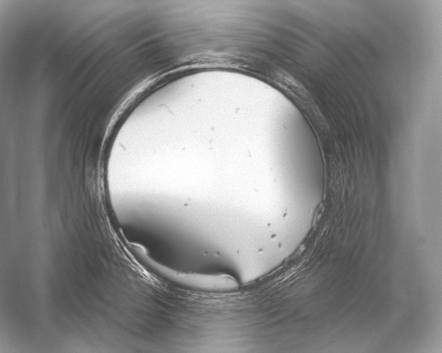 X0000052931188200508050821