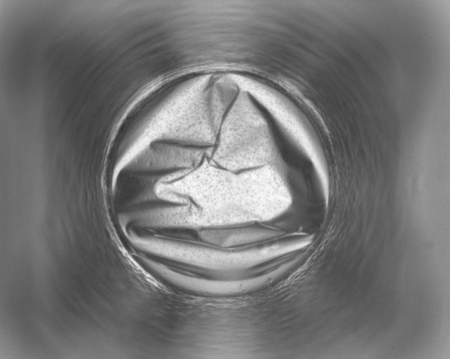 X0000052931189200508050821