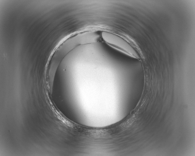 X0000052931192200508050821