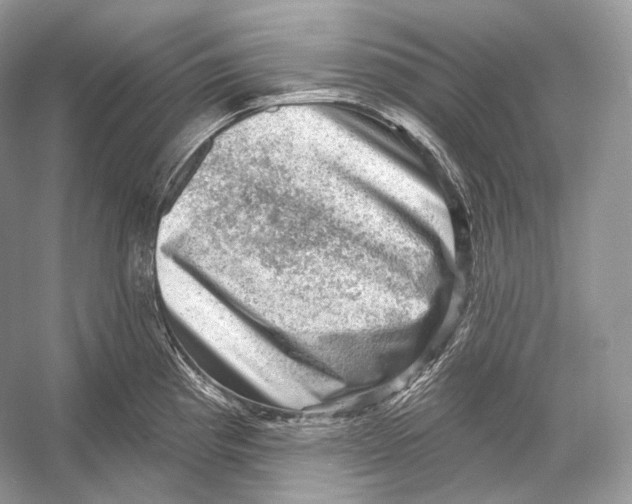 X0000052931193200508050821