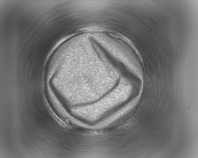X0000052931195200508050821