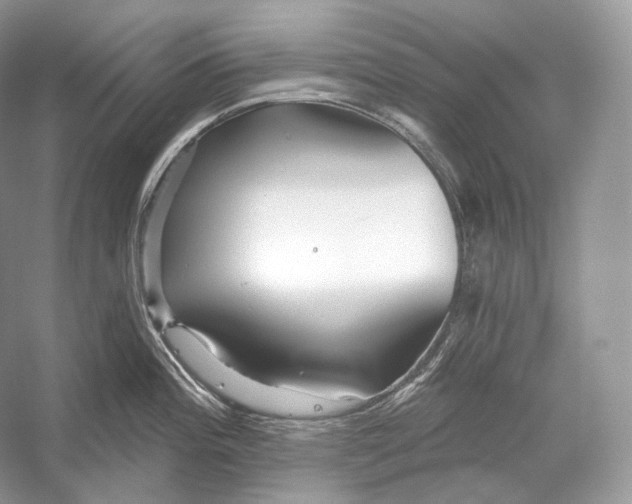 X0000052931196200508050821
