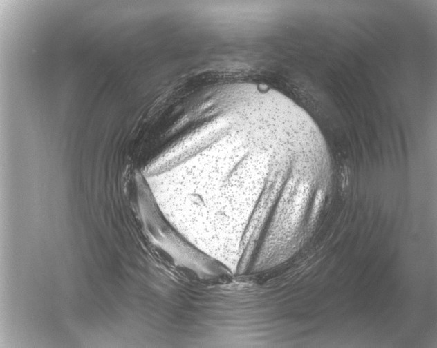 X0000052931204200508050820