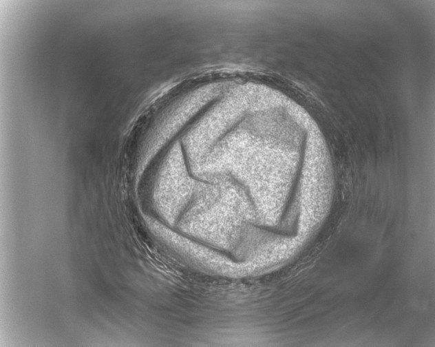 X0000052931207200508050820