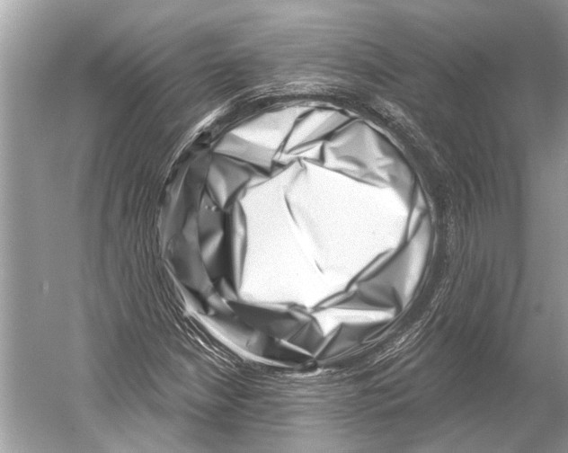 X0000052931210200508050820
