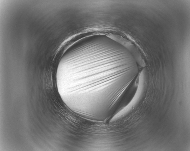 X0000052931214200508050821