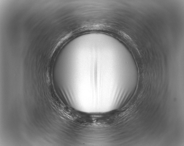 X0000052931218200508050821