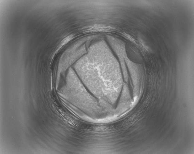 X0000052931219200508050821