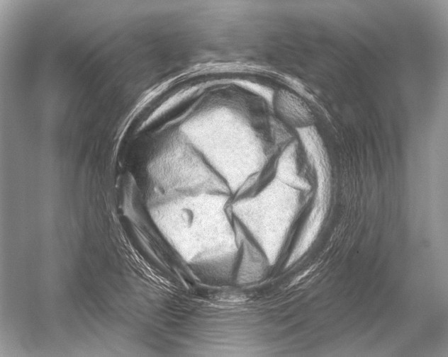 X0000052931221200508050821
