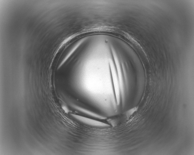 X0000052931222200508050821