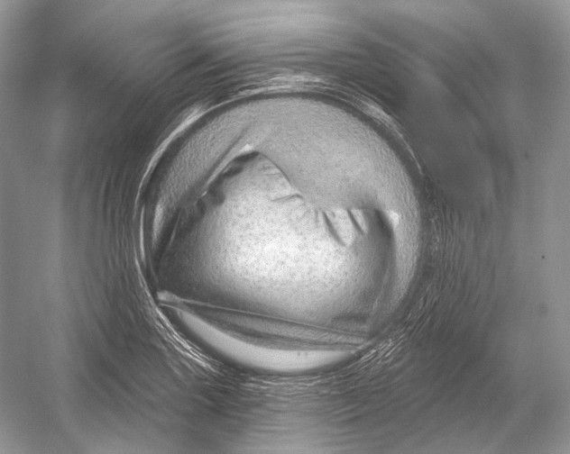 X0000052931227200508050821
