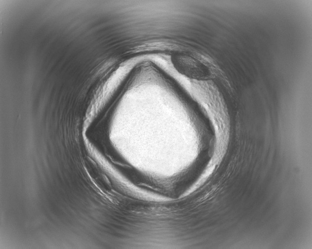 X0000052931233200508050821
