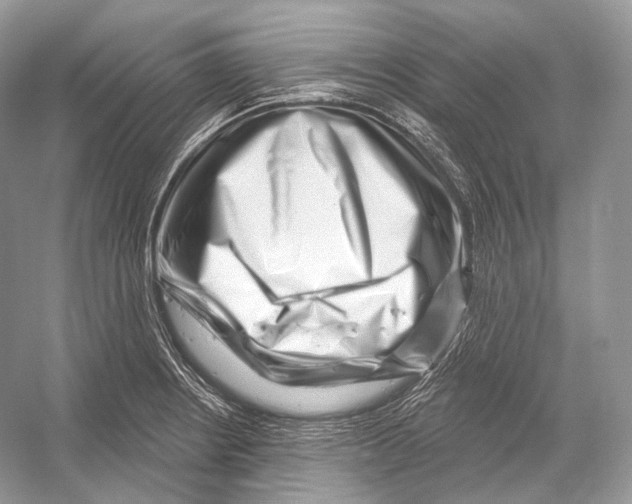 X0000052931234200508050821